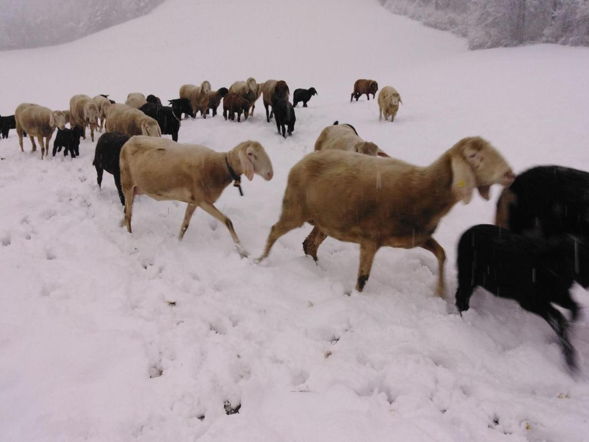 Holiday On An Organic Farm In Гарт-ім-Ціллерталь Екстер'єр фото